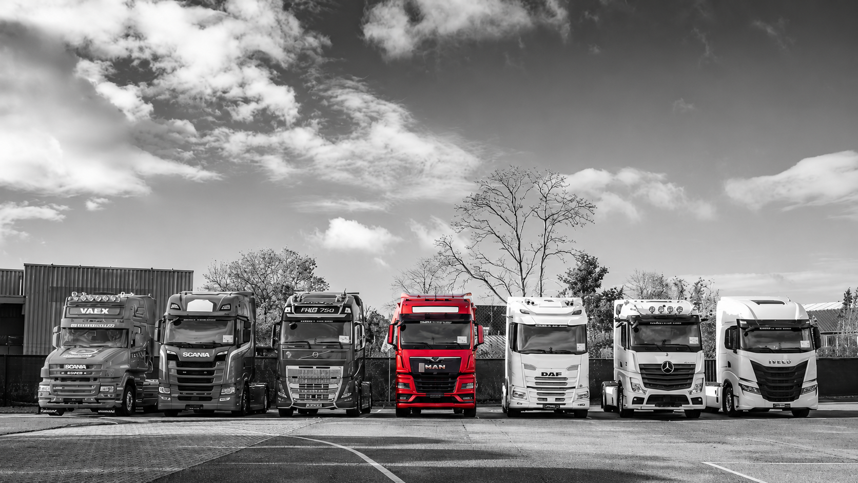 Rij vrachtwagens op een terrein, één rode truck ertussen
